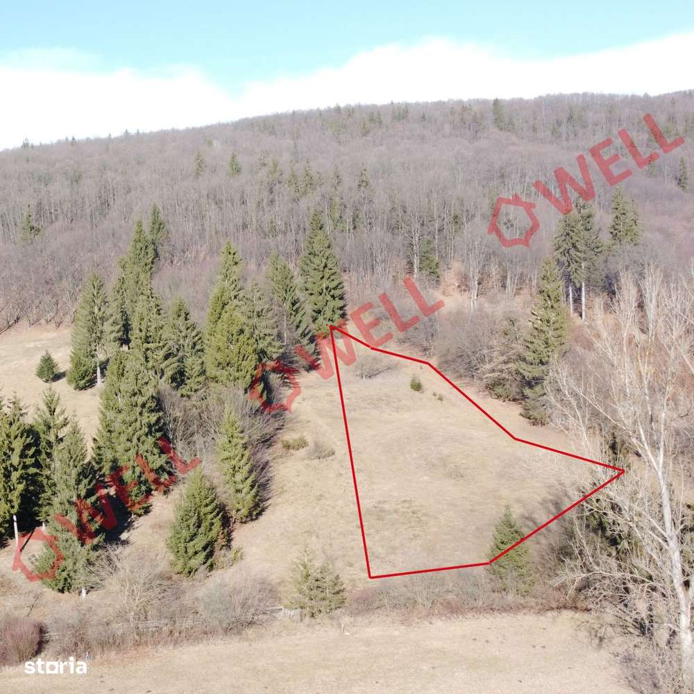 Teren extravilan de vânzare în Covasna! - Imagine principală: 2/6
