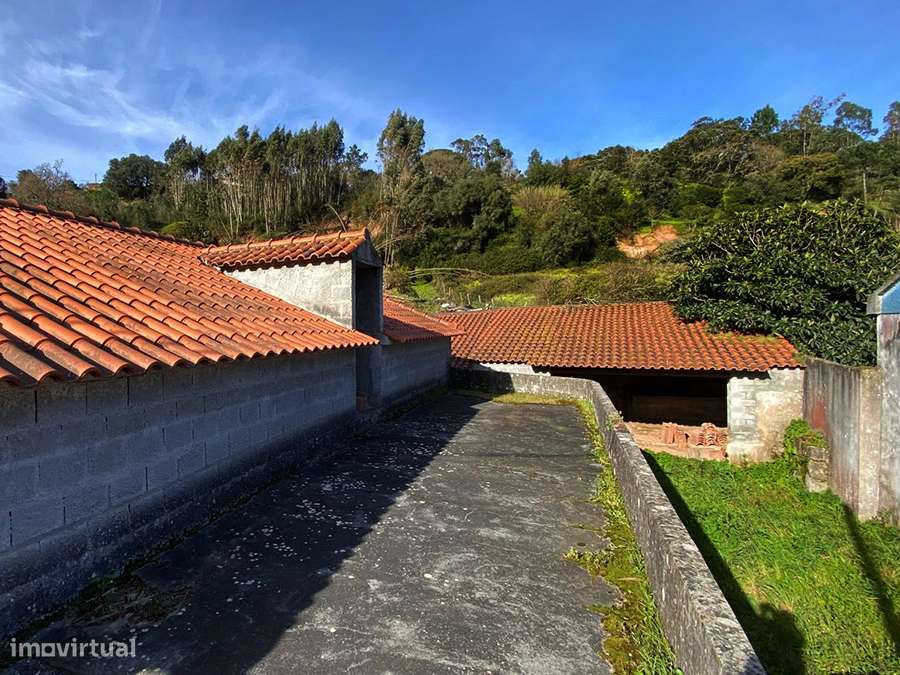 Adega e anexos para recuperar, com logradouro, a 10 min de C da Rainha-6