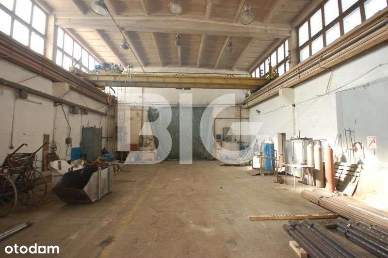 Hala produkcyjna Pruszcz Gdański - Pełny obrazek: 4/10