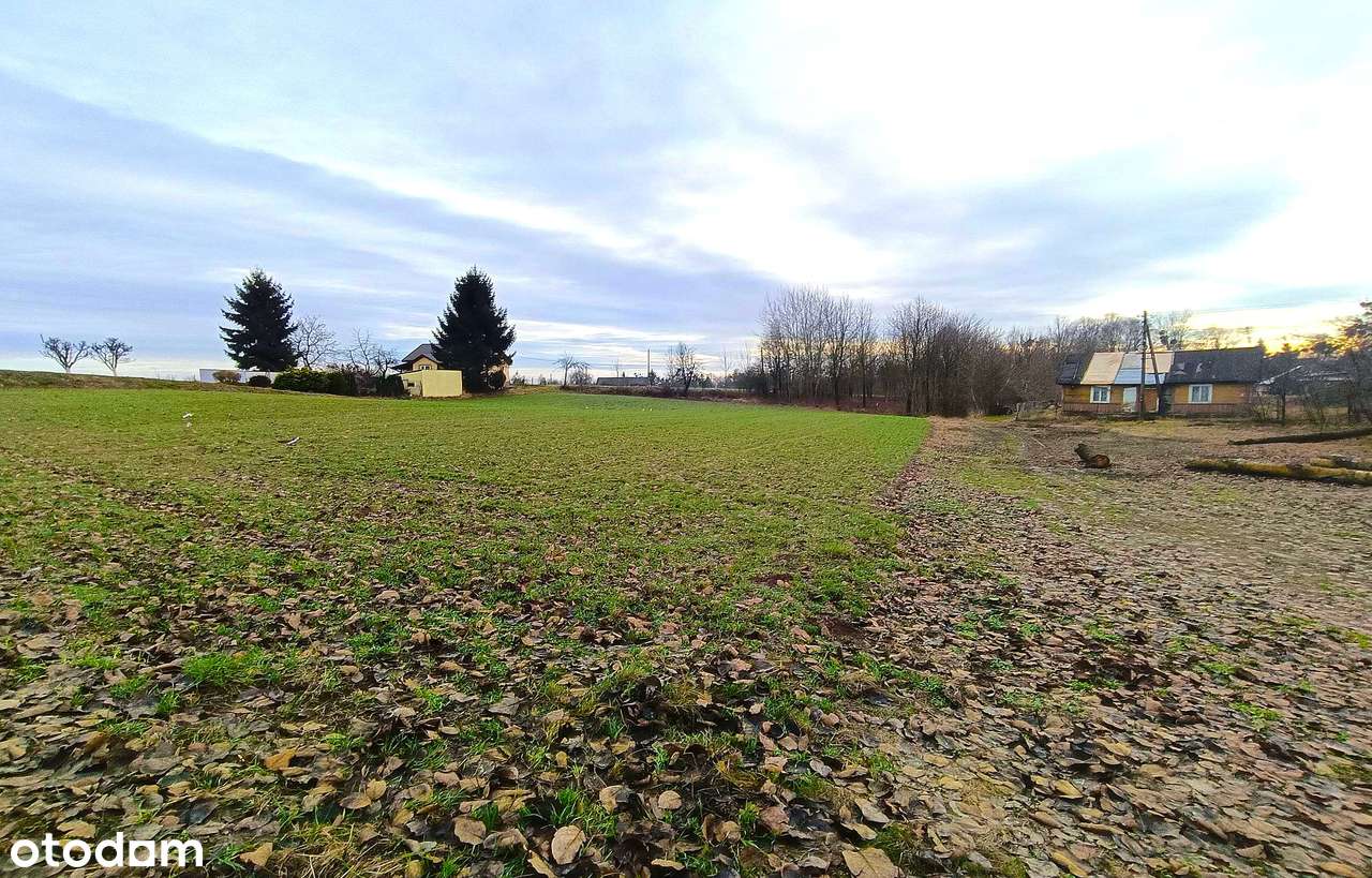 Działki Dębowiec, 10 km od Zamościa - Pełny obrazek: 3/16