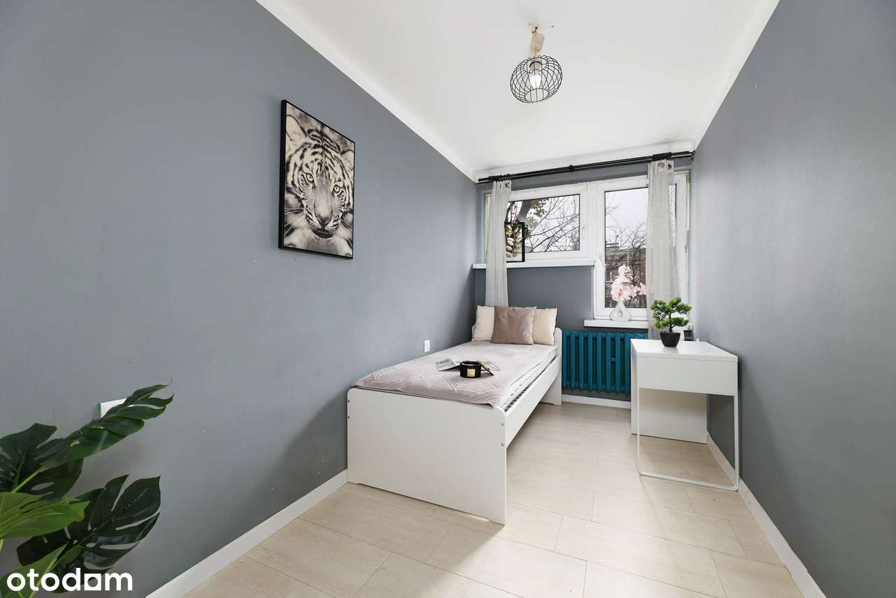 2M_piwnica | doskonałe pod biuro_INWESTYCJA| DZIEŃ OTWARTY! - Pełny obrazek: 1/14