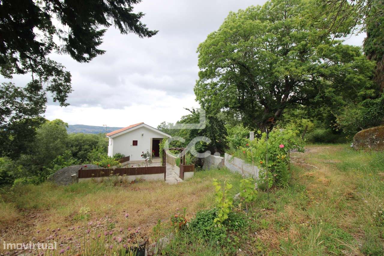 Quinta com moradias para turismo num ambiente paradisiaco - Grande imagem: 5/30