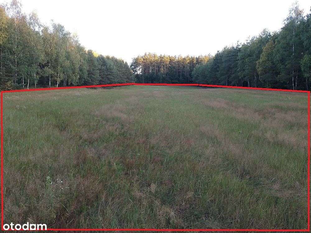 działki od 963m2 , z trzech stron las , jeziora , prąd i woda - Pełny obrazek: 5/20