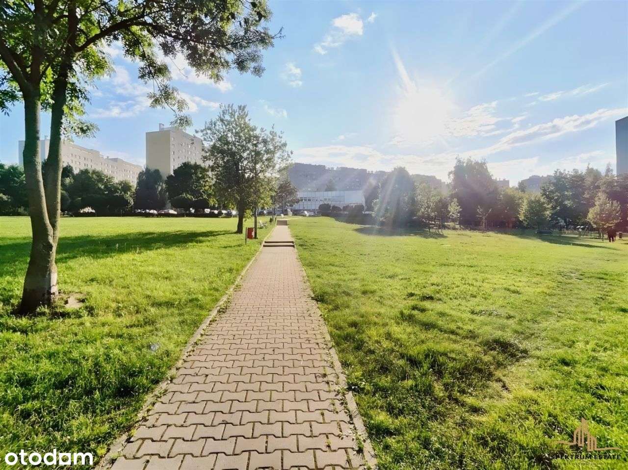 1 Pokojowe Do Odświeżenia!-6