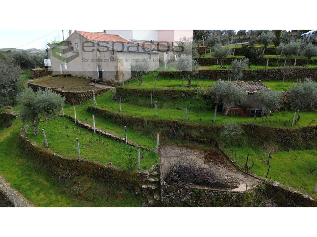 Quintinha - Grande imagem: 5/48