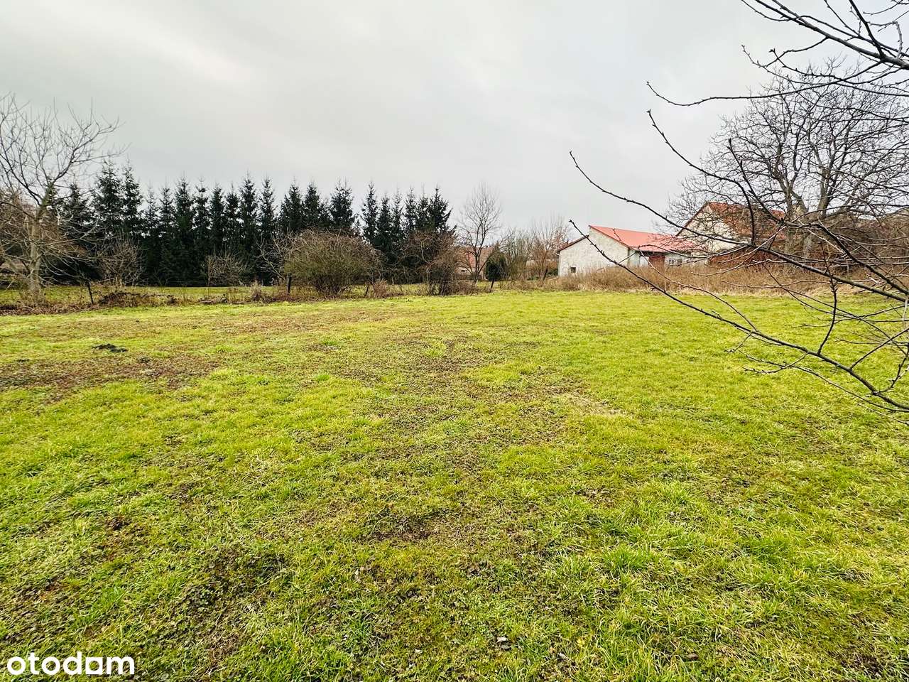 Działka budowlana Przyłęgów - BEZ PROWIZJI-3