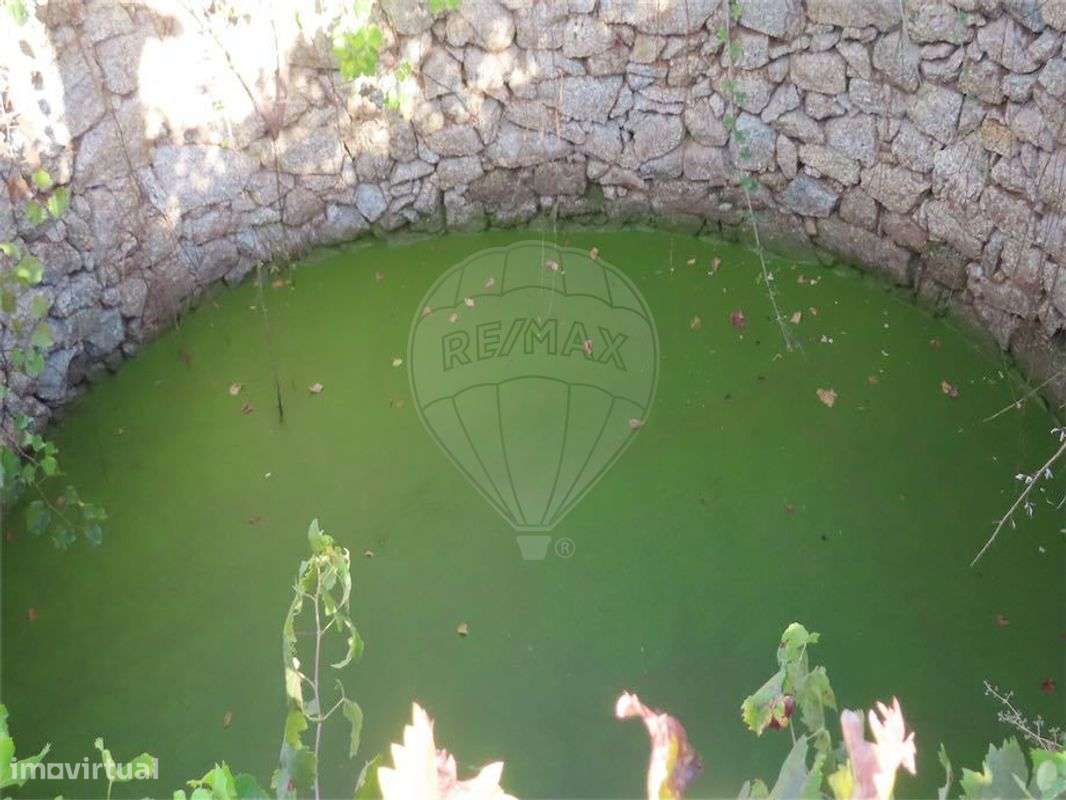 Quinta  para venda - Grande imagem: 3/28