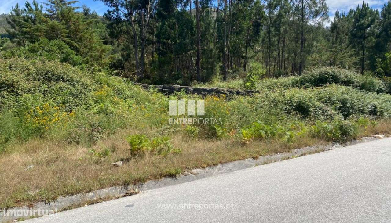 Venda Terreno com possibilidade de construção, São Cristovão de Mo - Grande imagem: 5/28