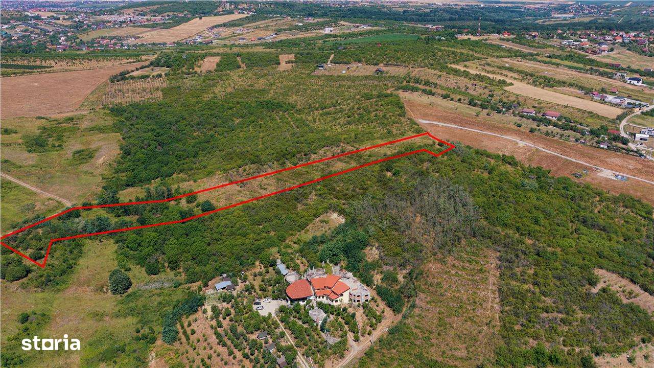 RECO Teren Saldobagiu de munte - Imagine principală: 2/7