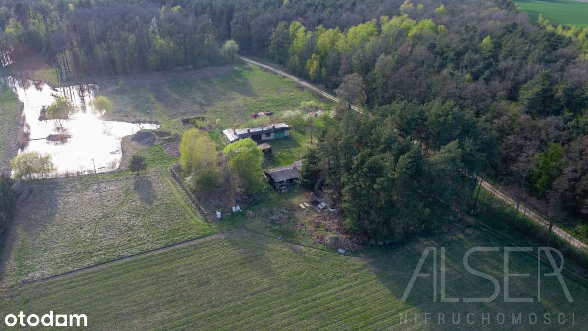 Siedlisko na uboczu | Brak sąsiadów | 5.3 Ha| Bud - Pełny obrazek: 5/20