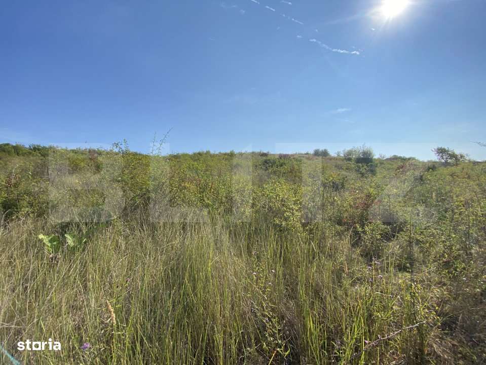 Teren intravilan/extravilan centura Zalau, 8200 mp - Imagine principală: 5/6