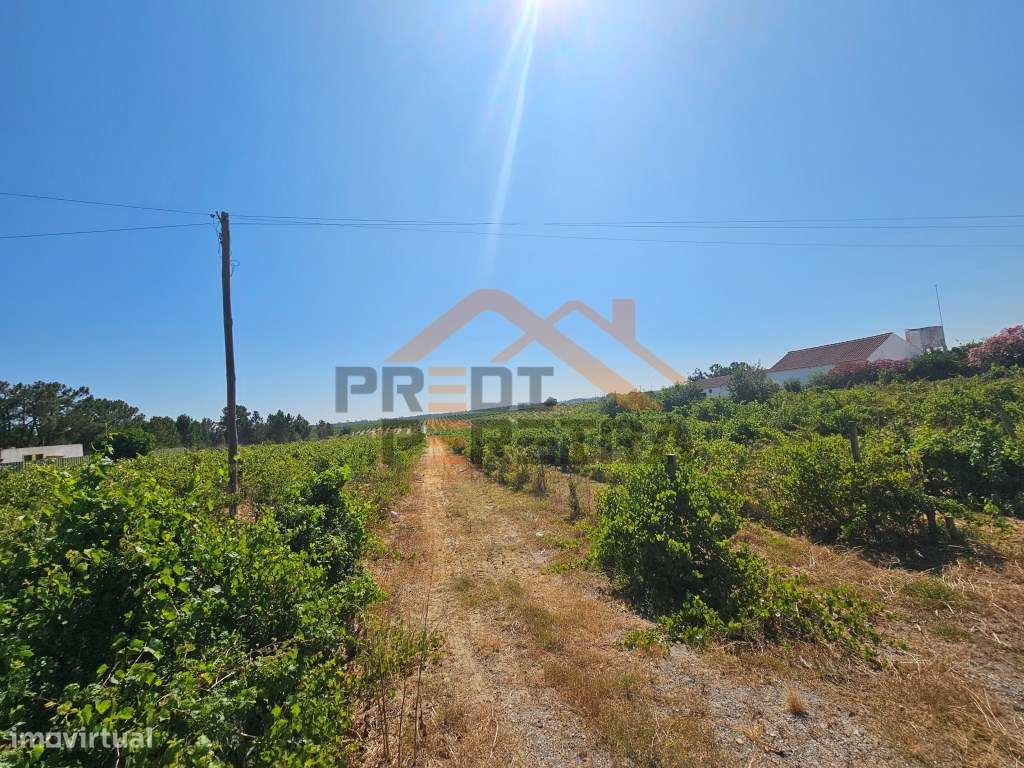 Oportunidade Única no concelho de Palmela, freguesia de Poceirão e ... - Grande imagem: 2/23