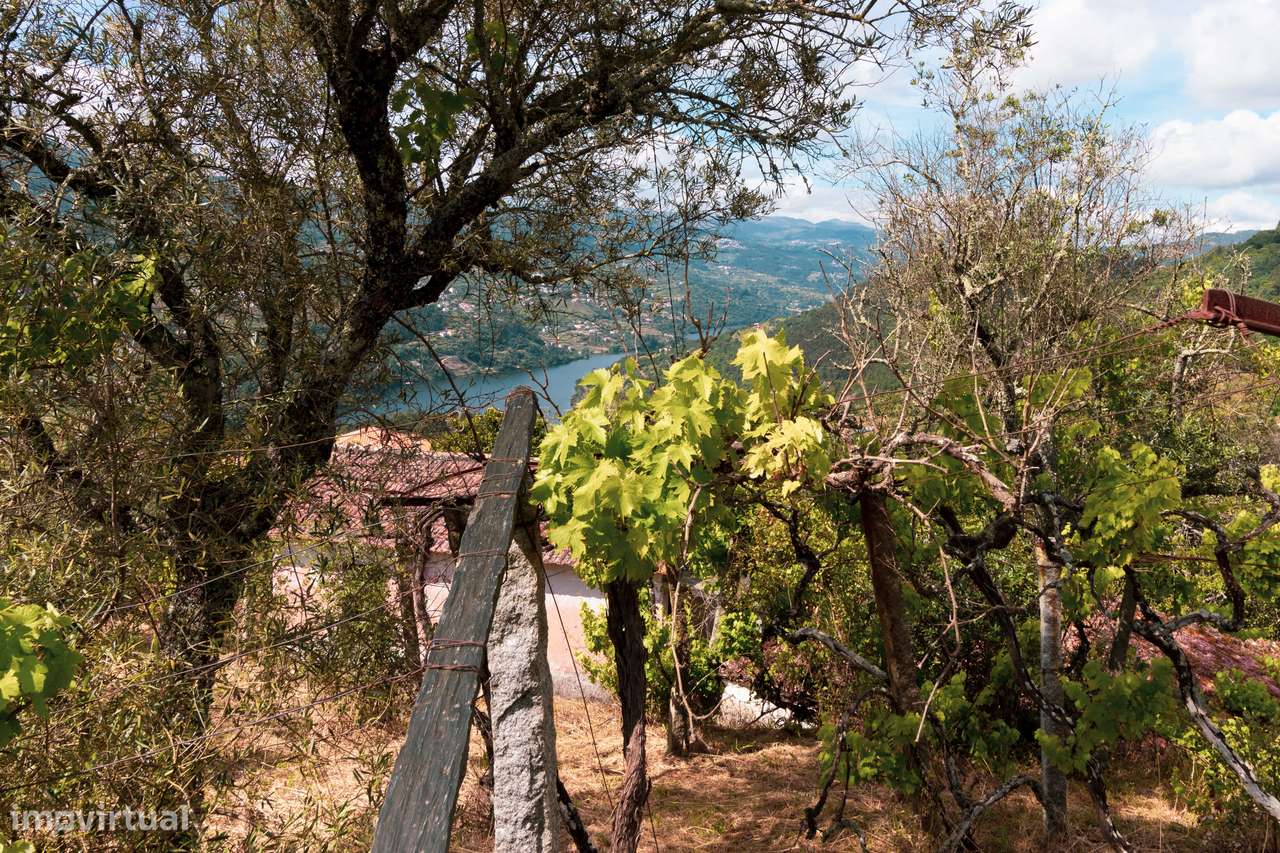 Quintinha com Vista para o Rio Douro – Baião-2