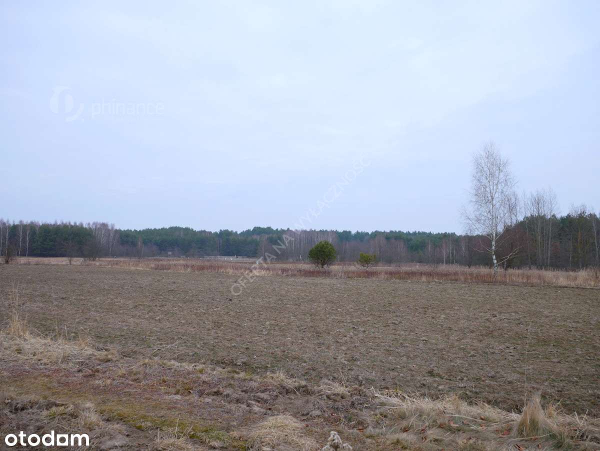 Działka 29,48 ar, rolno-budowlana z Wz, Grębów - Pełny obrazek: 4/8