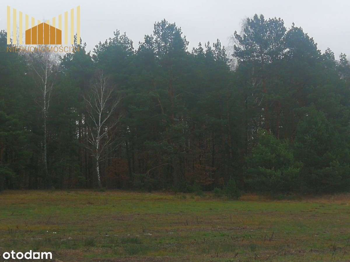 Działka  Wawer - Pełny obrazek: 2/2