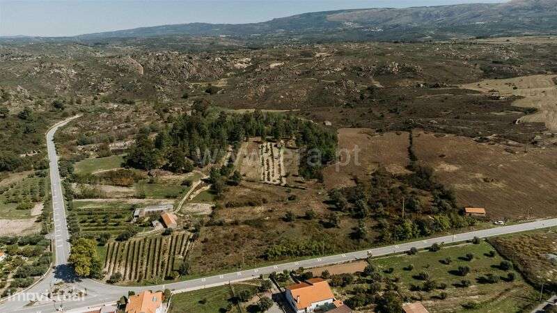 Quintinha / Gouveia, Ribamondego - Grande imagem: 5/20