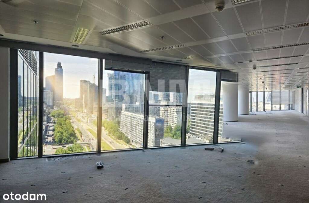 Biuro z pięknym widokiem - Pełny obrazek: 2/15