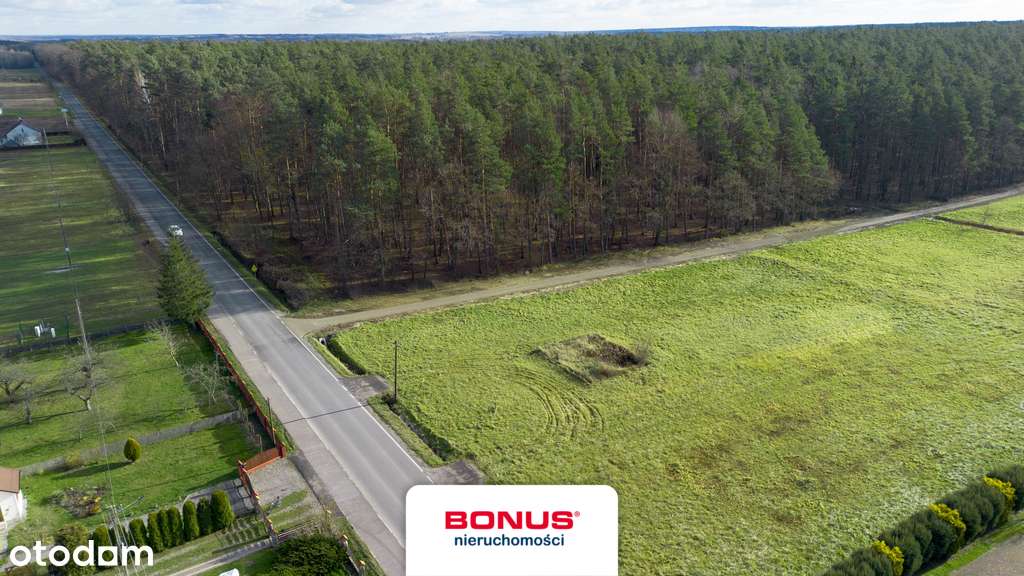 Działki budowlane 13ar | Nowy Nart | - Pełny obrazek: 5/6