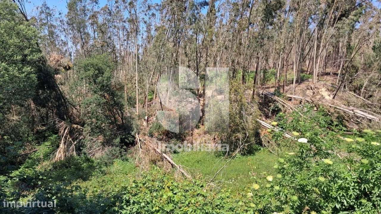 Quinta Rural com 7.900 m² e Três Construções Existentes-9