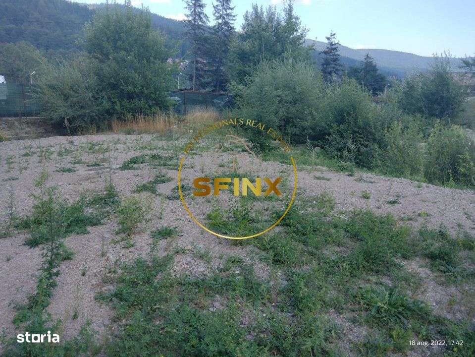 Teren intravilan 15.000 mp Busteni - Imagine principală: 4/5