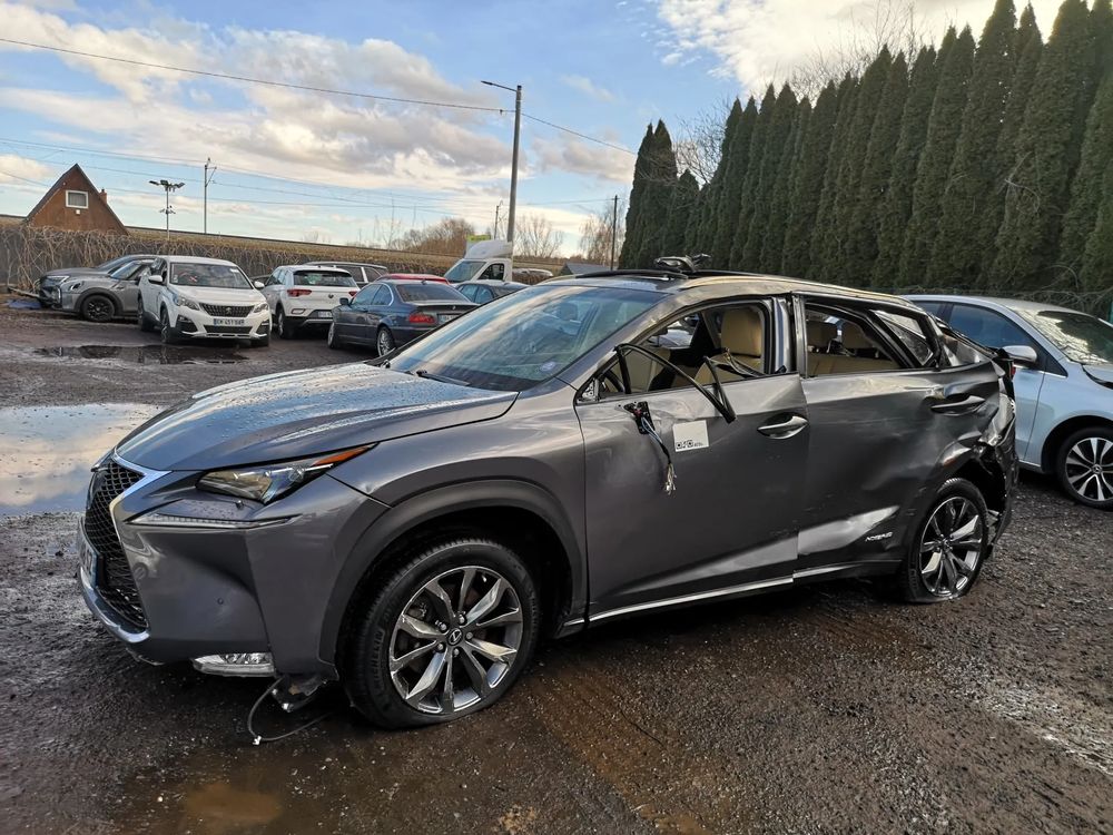 Lexus NX I 300h E-FOUR Executive Line 2015