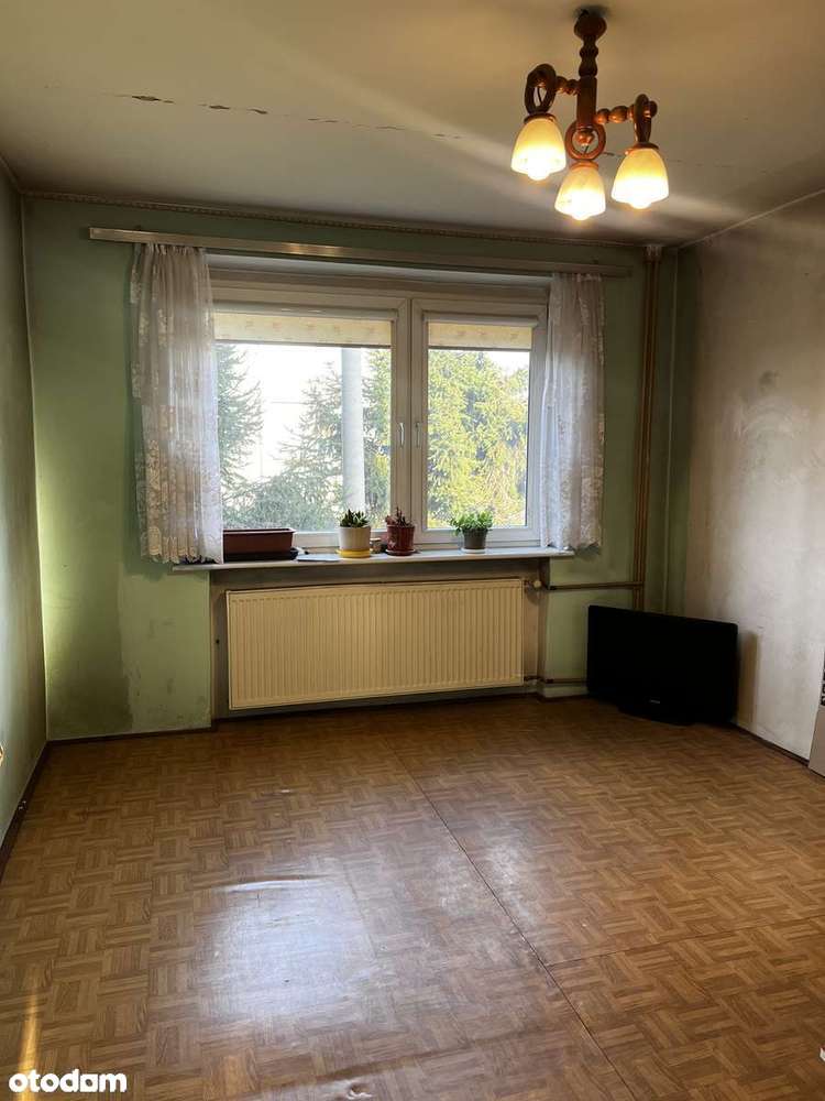 Wągrowiec Jankowo 3 pokoje z garażem i działką 450 m2-6