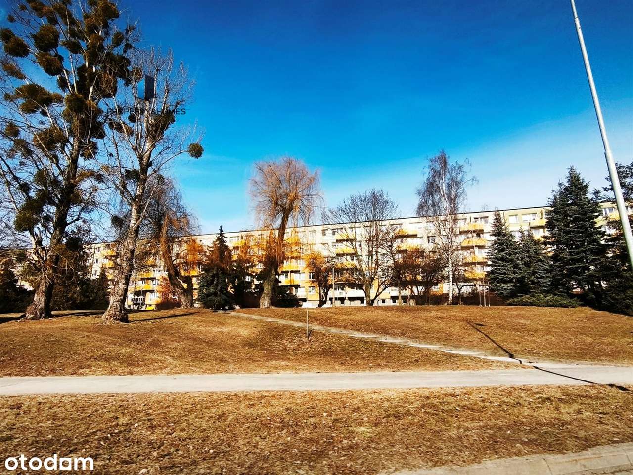 Os. Przyjaźni 3 pokoje do odświeżenia, balkon-7