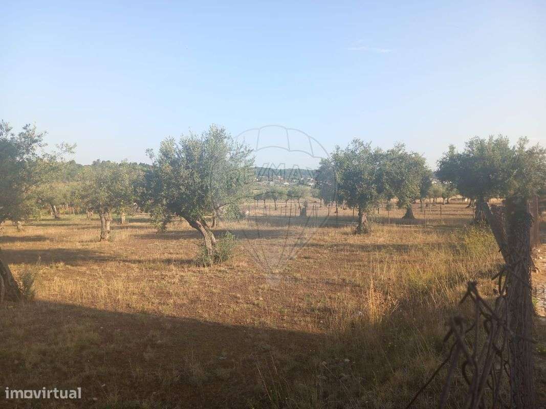 Terreno  para venda - Grande imagem: 3/5