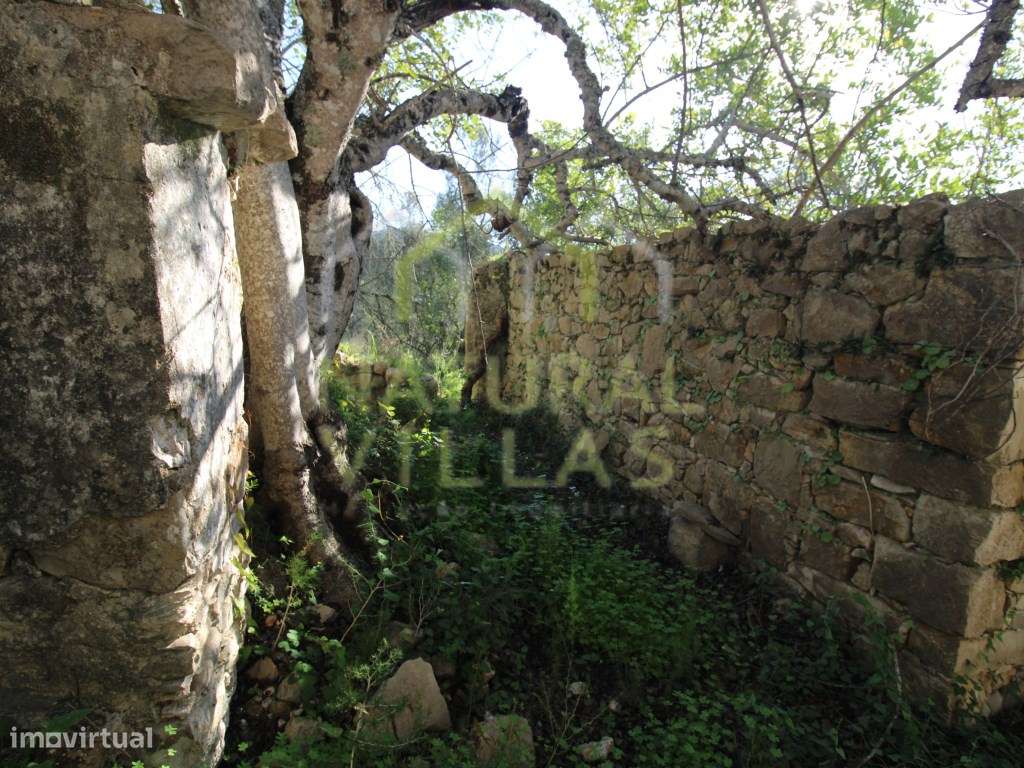 Terreno e Ruína Virado a Sul em Azinheiro, Estoi - Grande imagem: 5/15