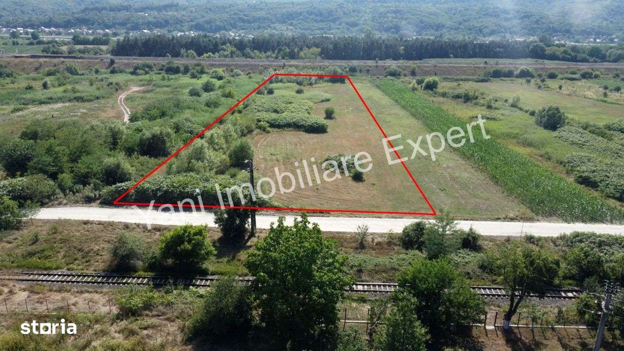 Teren de vânzare în comuna Băiculești, Județ Argeș ( 8229 mp ) - Imagine principală: 5/13