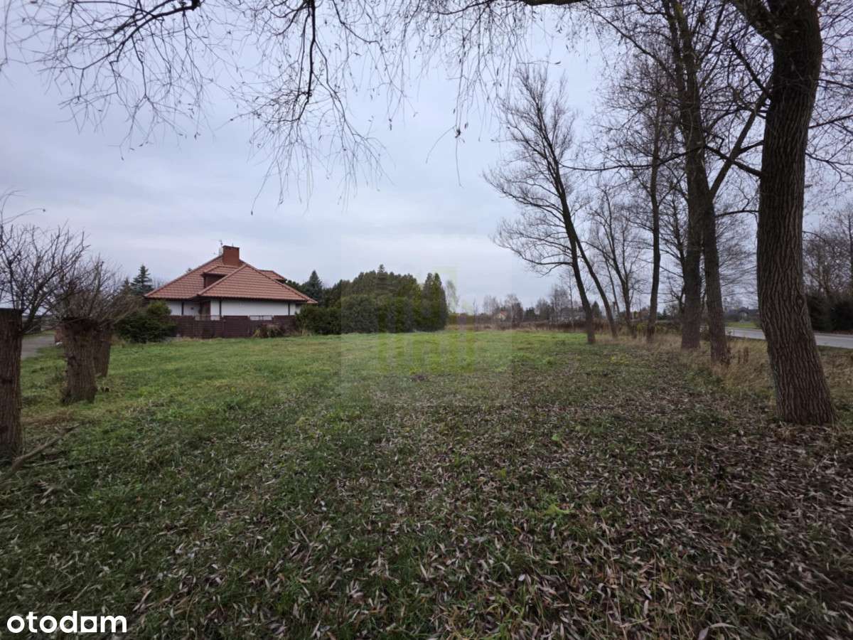 275145 - Pełny obrazek: 5/6