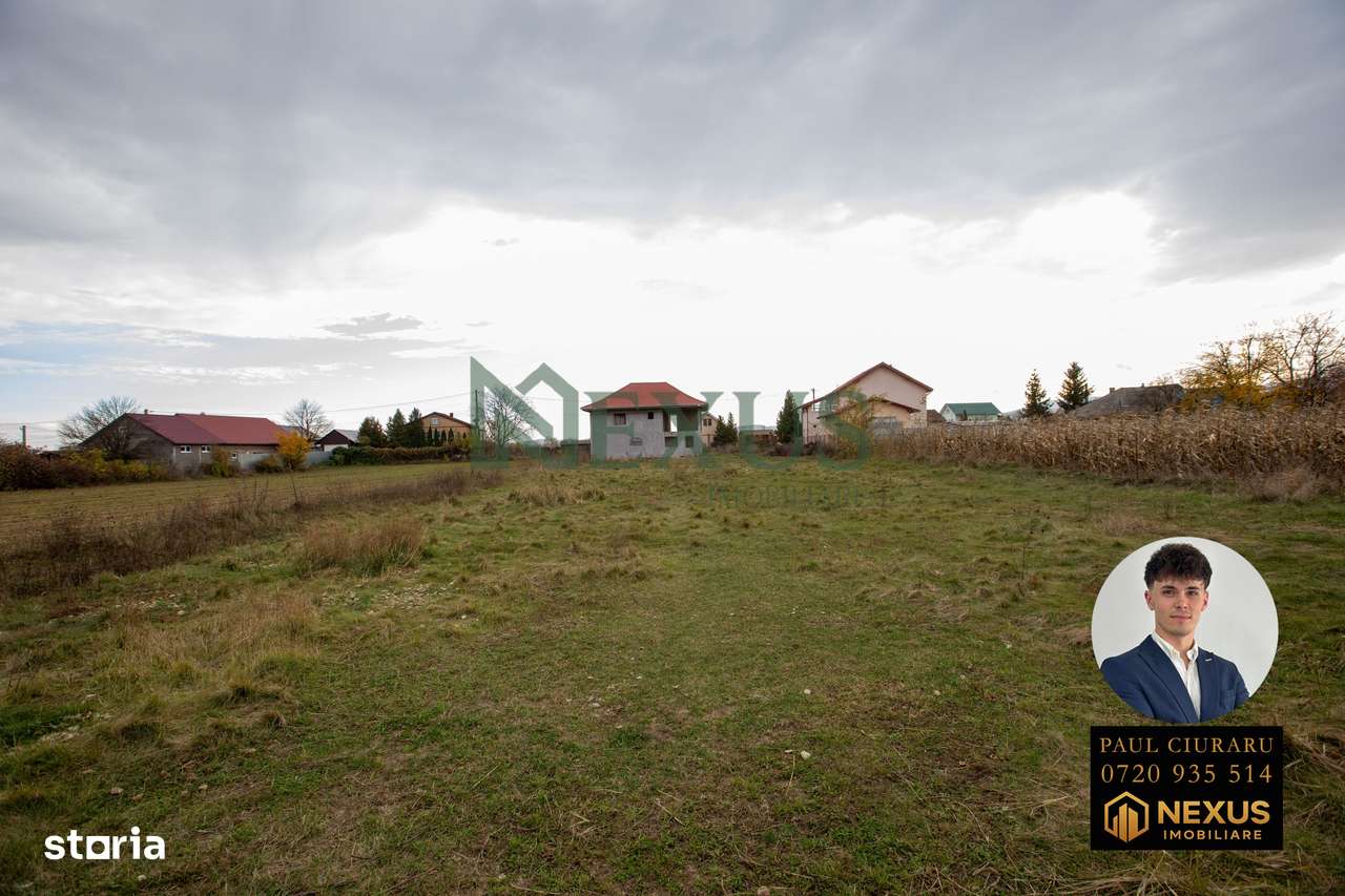 Casă + Teren de vânzare, Nicolae Bălcescu, Bacău-10