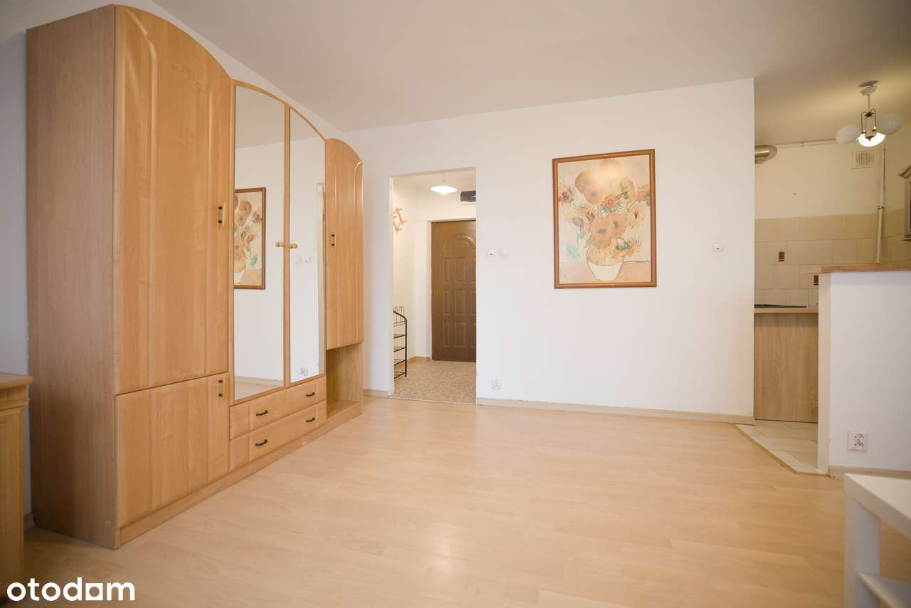 Poznań Jeżyce Kawalerka balkon Sołacz Uniwersytet Przyrodniczy - Pełny obrazek: 5/8