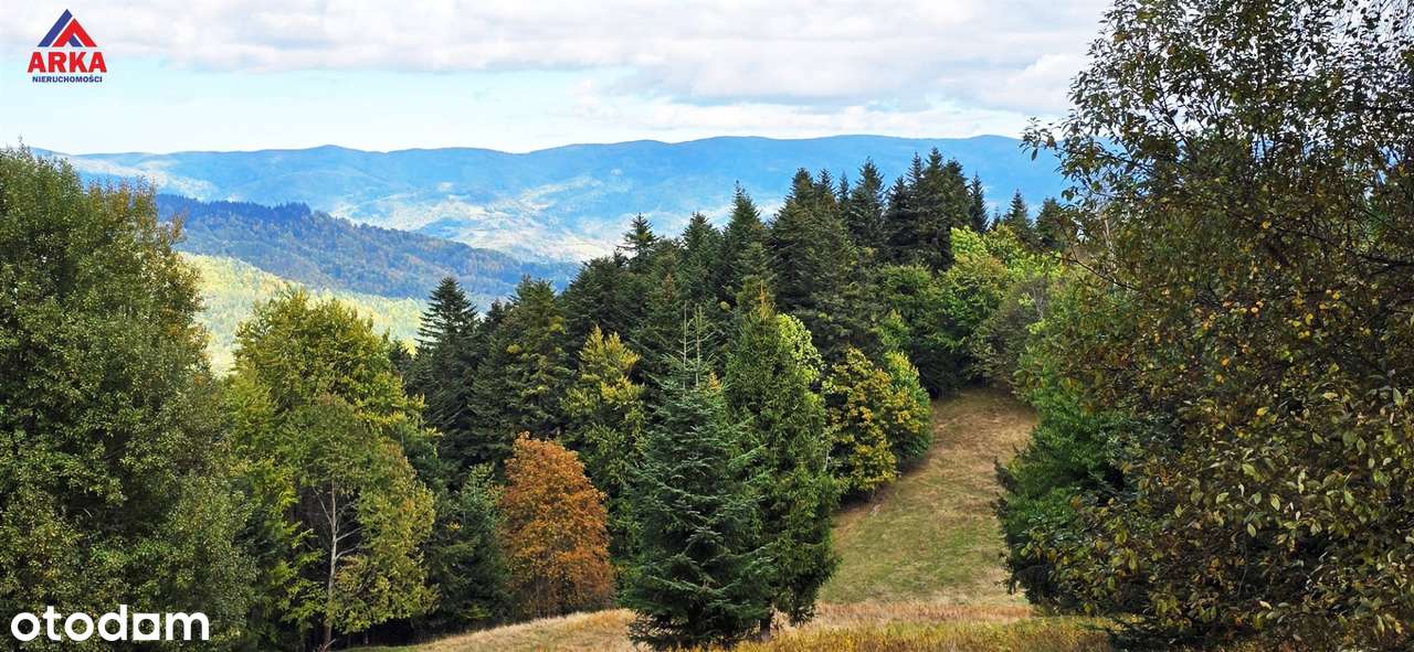 Wyjątkowe siedlisko pośród lasów w Piwnicznej - Pełny obrazek: 5/13