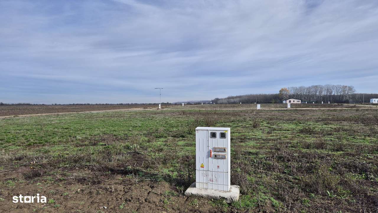 Loturi de teren 638 mp - curent tras la teren - Crevedia-7