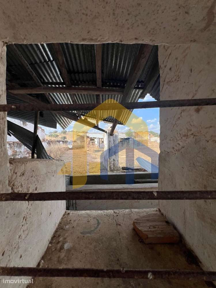 🏡 Quintinha em Monforte-15