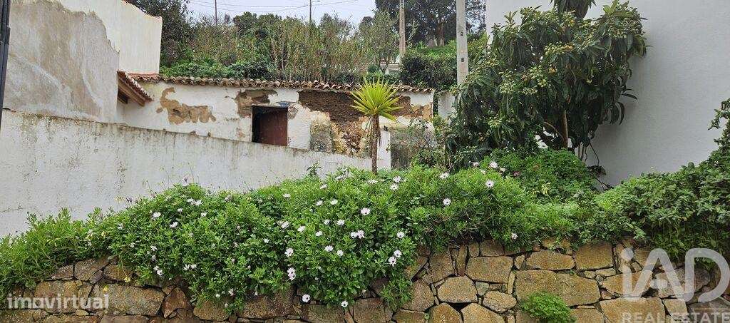 Loja / Estabelecimento Comercial T1 em Bordeira de 33,00 m2 - Grande imagem: 5/21