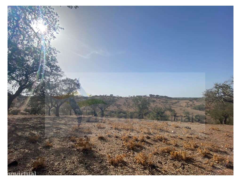 Propriedade de 35 ha - com Monte em Ruínas em Serpa-16