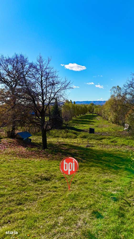 SE VINDE Teren intravilan de 5356mp, in Fantana Mare, jud. Suceava-1