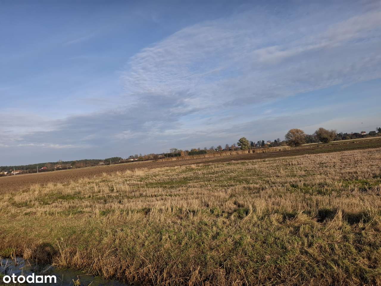 Działki nad morzem budowlano-rolne  Wyspa SobieszewskaGdańsk pomorskie - Pełny obrazek: 5/9