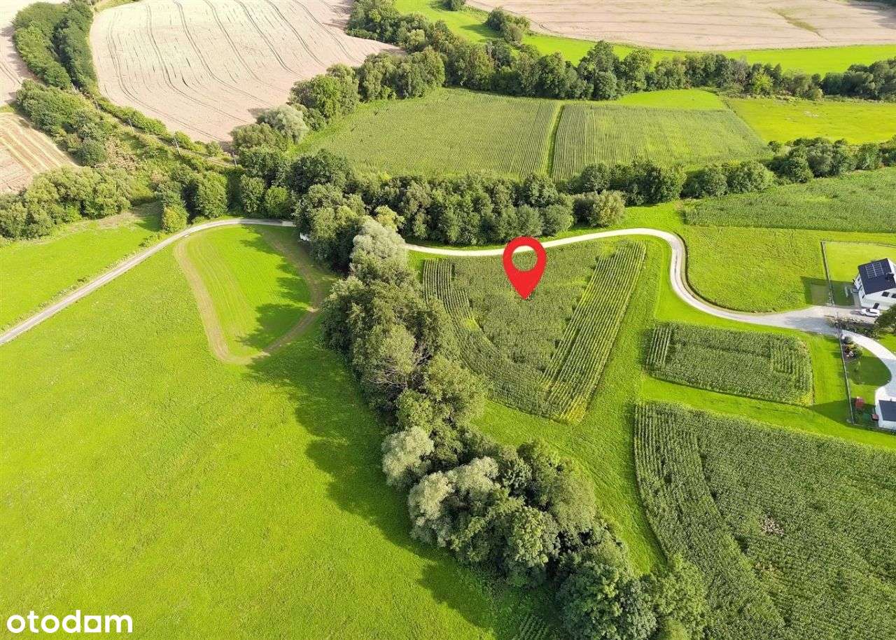 Rolnik, inwestor, rodzina – Bielowicko-7