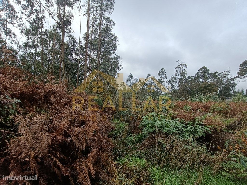 Terreno de construção para realizar seu projeto em Mosteiró - Vila ... - Grande imagem: 1/5