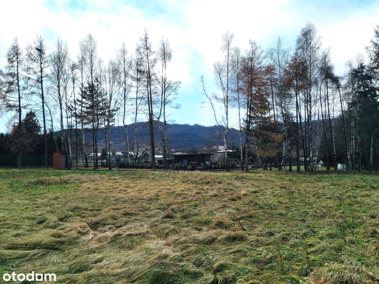 Duża działka 3180 m² z widokiem na góry – Czaniec - Pełny obrazek: 4/5