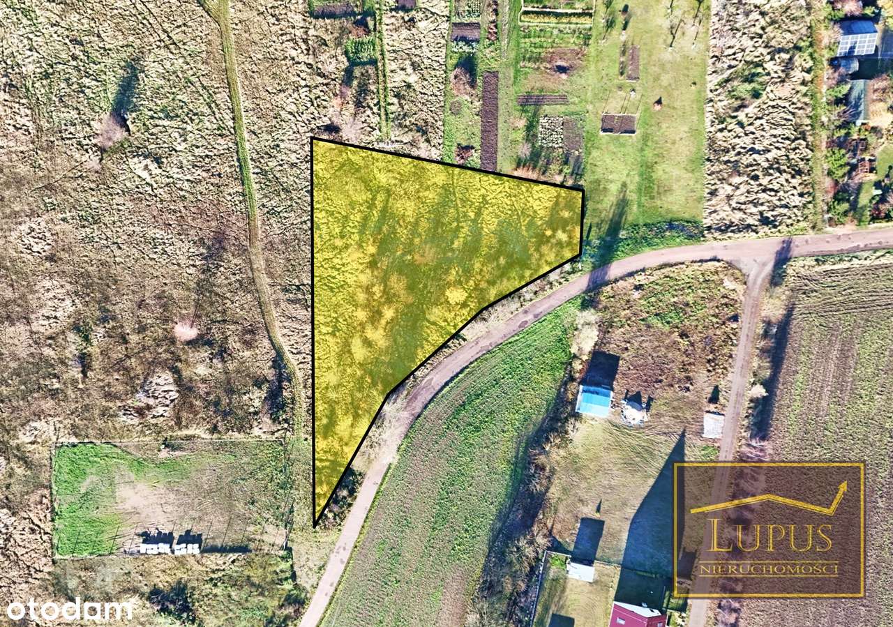 Działka w Grabowie - Pełny obrazek: 3/12