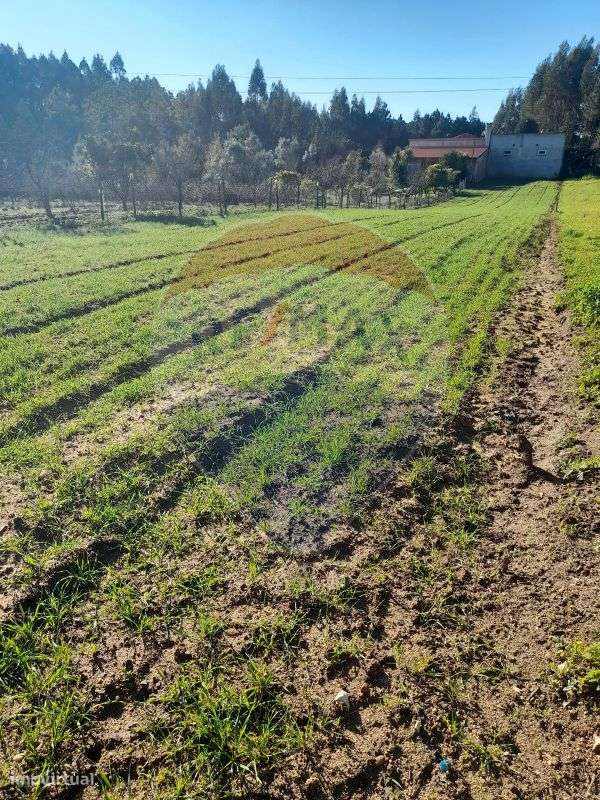 Terreno  para venda - Grande imagem: 2/5