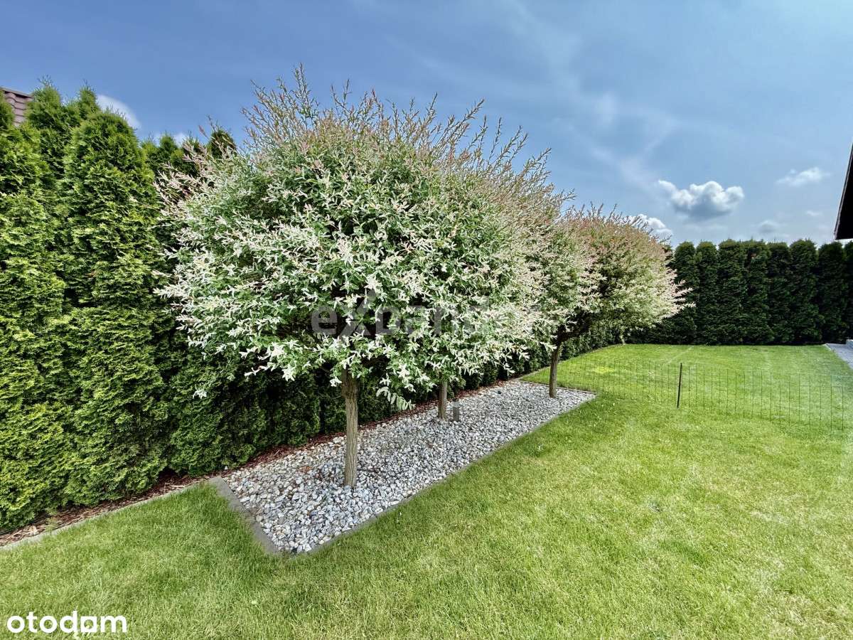 Południowy Ogród 1000 Mkw|osobny Garaż 132 Mkw - Pełny obrazek: 4/20