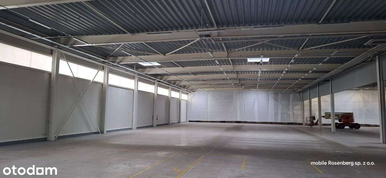 WARASZAWA - hala magazynowa 1678 + 580 biura WOLNA - Pełny obrazek: 4/20