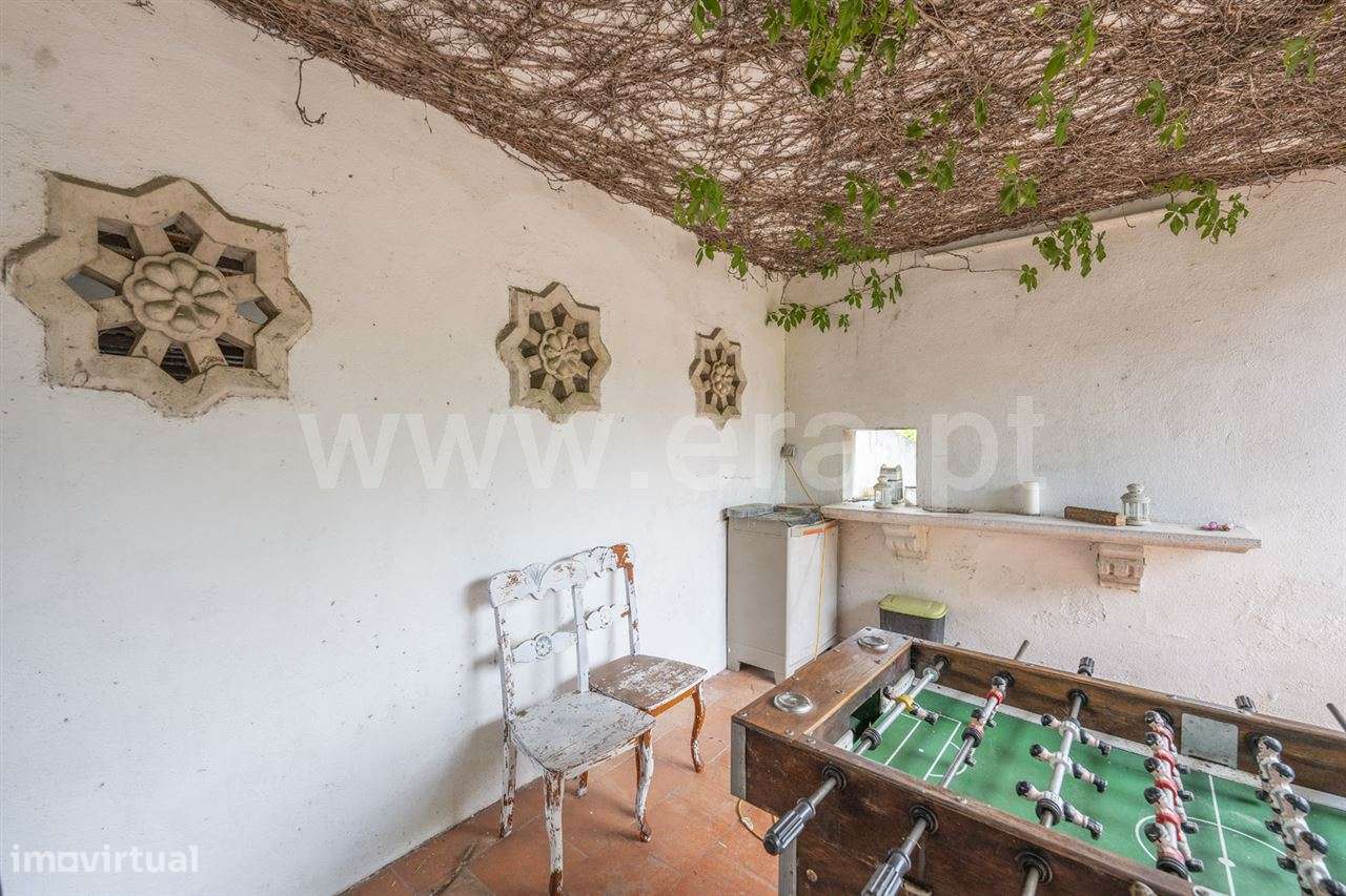 Magnifica Quinta T7; Verdizela-34