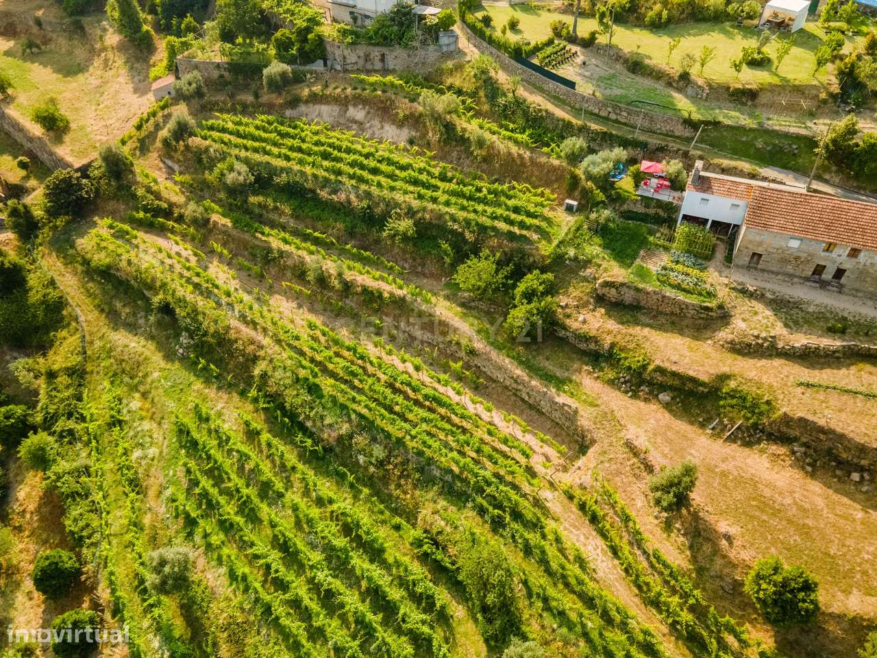 Quinta com Vista Deslumbrante sobre o Rio Douro – Projeto Aprovado par-5