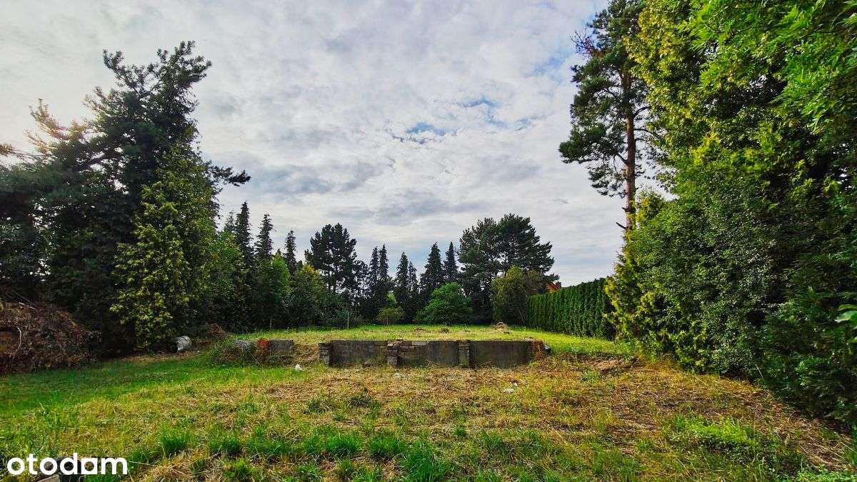 działka Gruszczyn|cicha,zielona i pełna możliwości-7